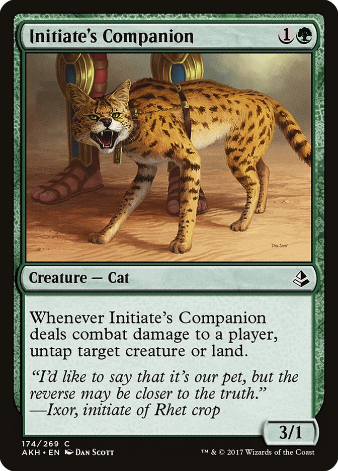 Initiate's Companion - carta Magic The Gathering