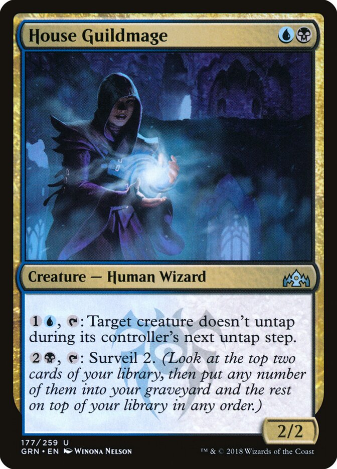 House Guildmage - carta Magic The Gathering