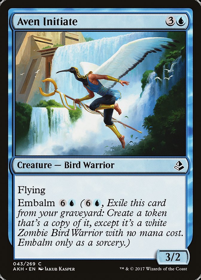 Aven Initiate - carta Magic The Gathering