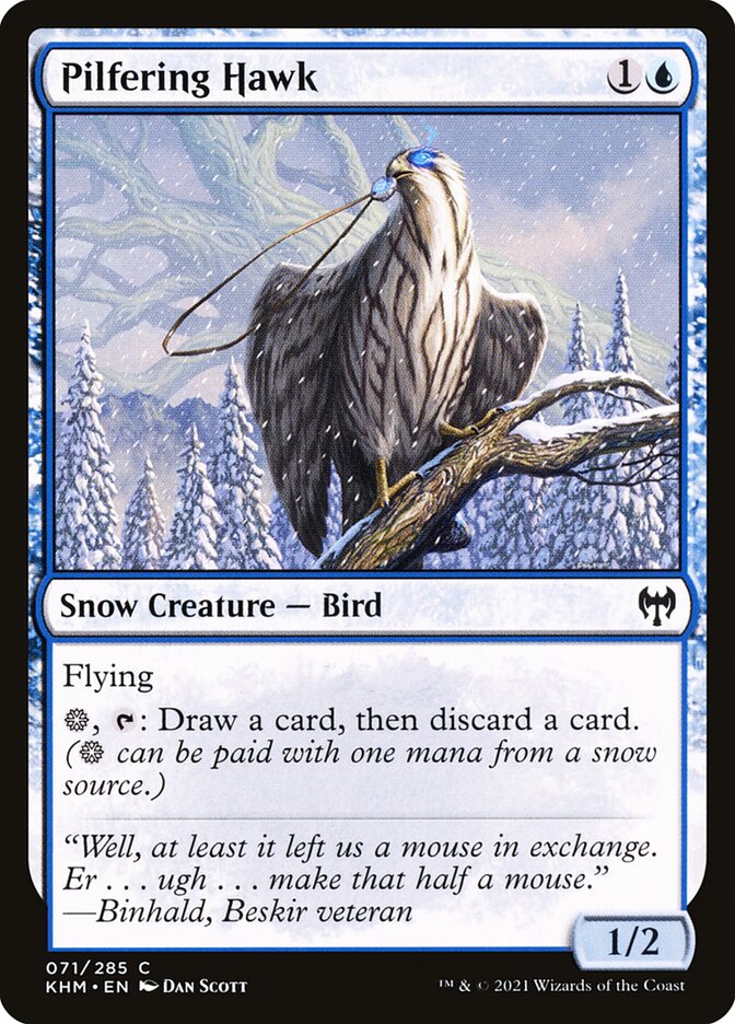 Pilfering Hawk - carta Magic The Gathering