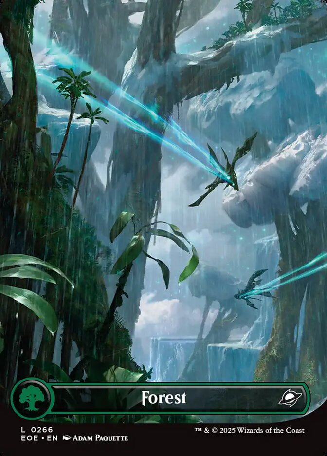 Forest - carta Magic The Gathering