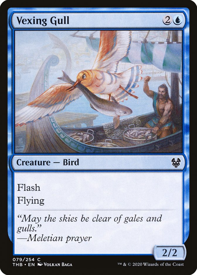 Vexing Gull - THB-079-NF-STD