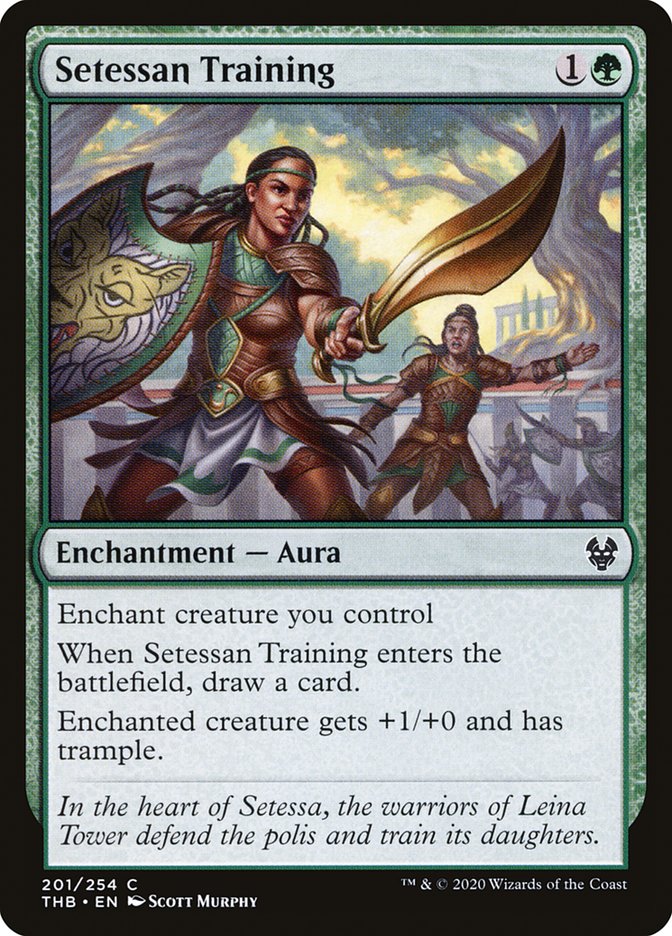 Setessan Training - carta Magic The Gathering