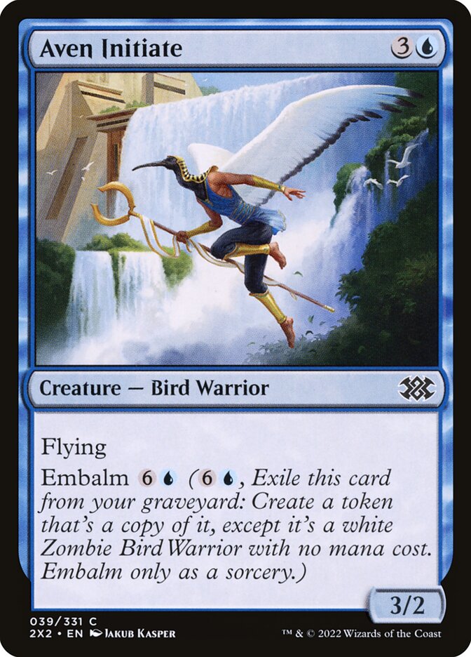 Aven Initiate - carta Magic The Gathering
