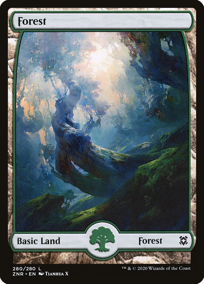 Forest - carta Magic The Gathering