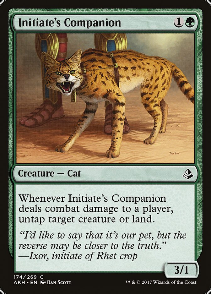 Initiate's Companion - carta Magic The Gathering