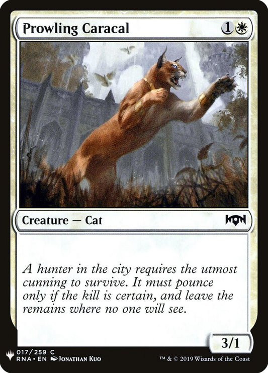 Prowling Caracal - carta Magic The Gathering