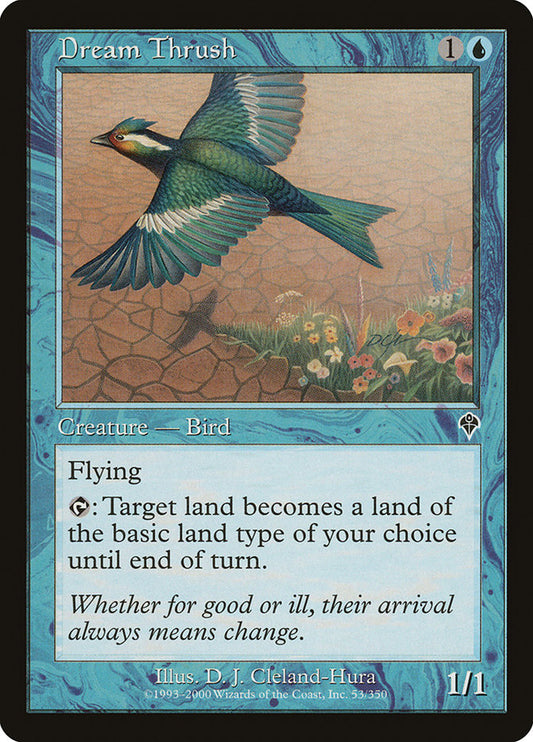 Dream Thrush - INV-053-NF-STD