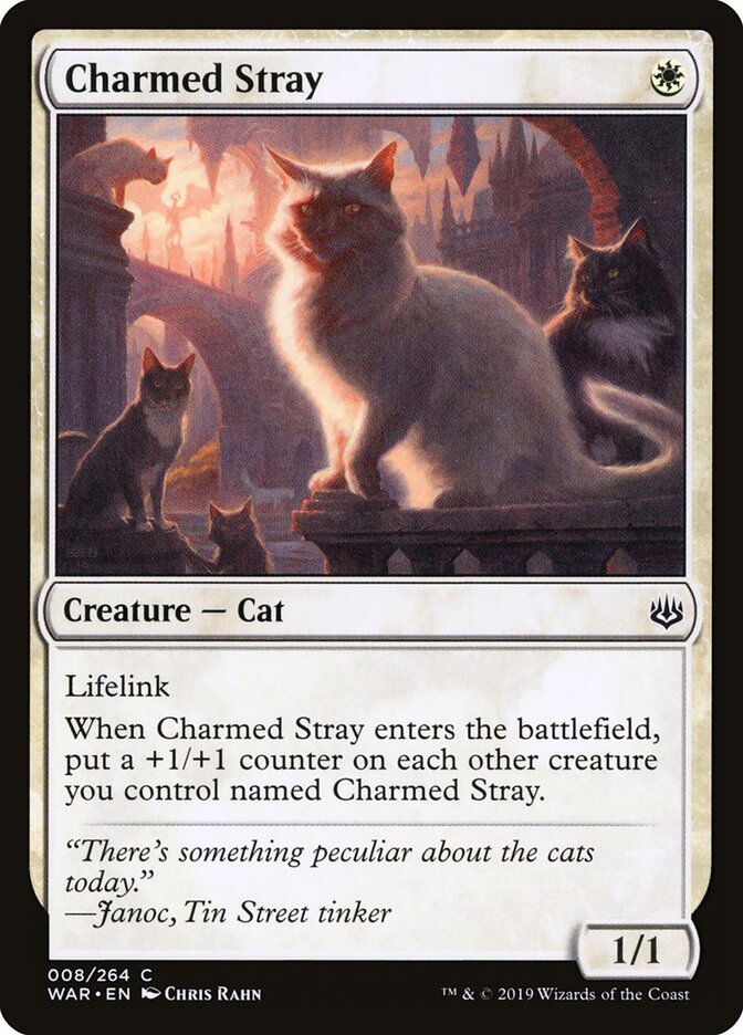 Charmed Stray - carta Magic The Gathering
