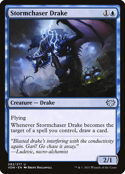 Stormchaser Drake - carta Magic The Gathering