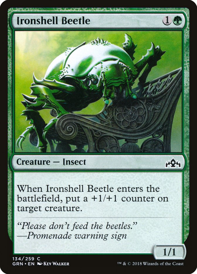 Ironshell Beetle - GRN-134-NF-STD