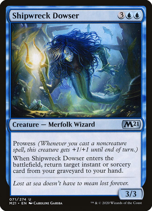 Shipwreck Dowser - M21-071-NF-STD