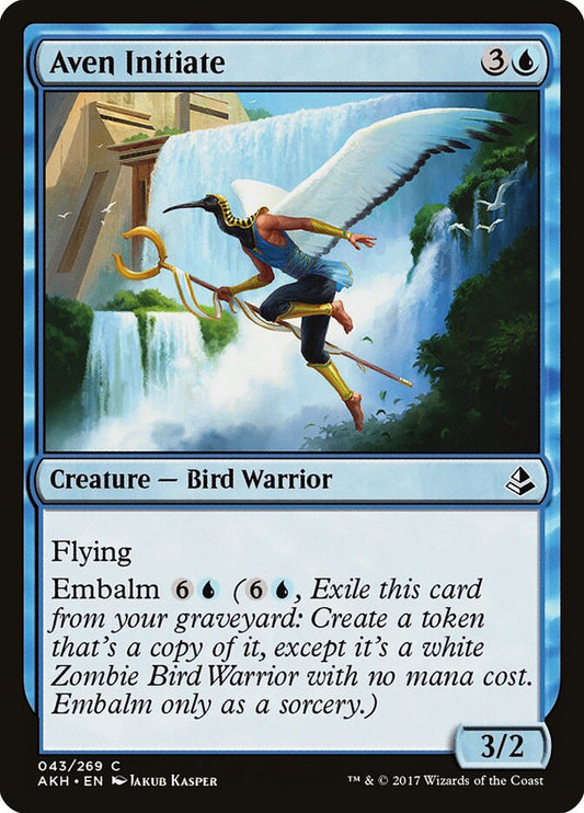 Aven Initiate - carta Magic The Gathering
