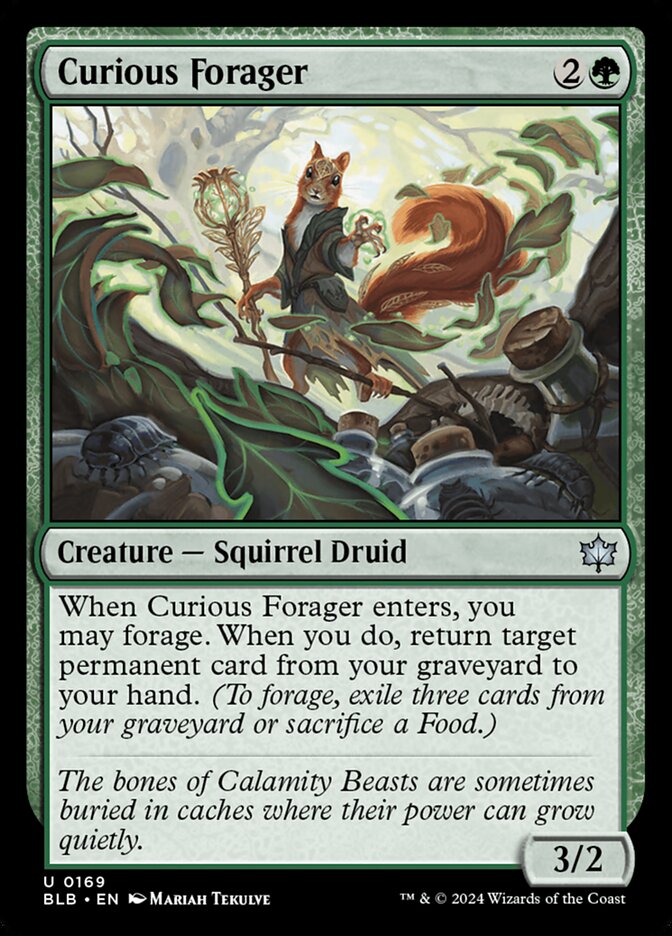 Curious Forager - BLB-169-NF-STD