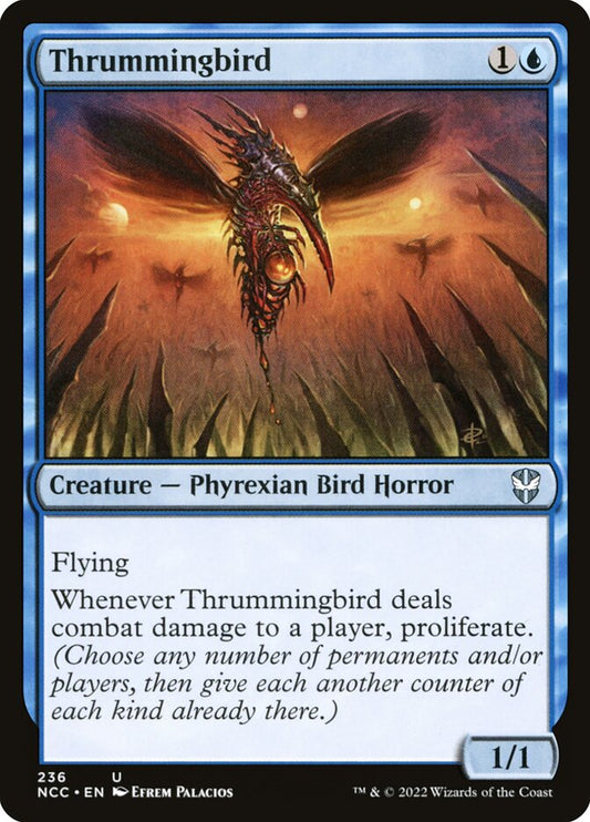 Thrummingbird - NCC-236-NF-STD