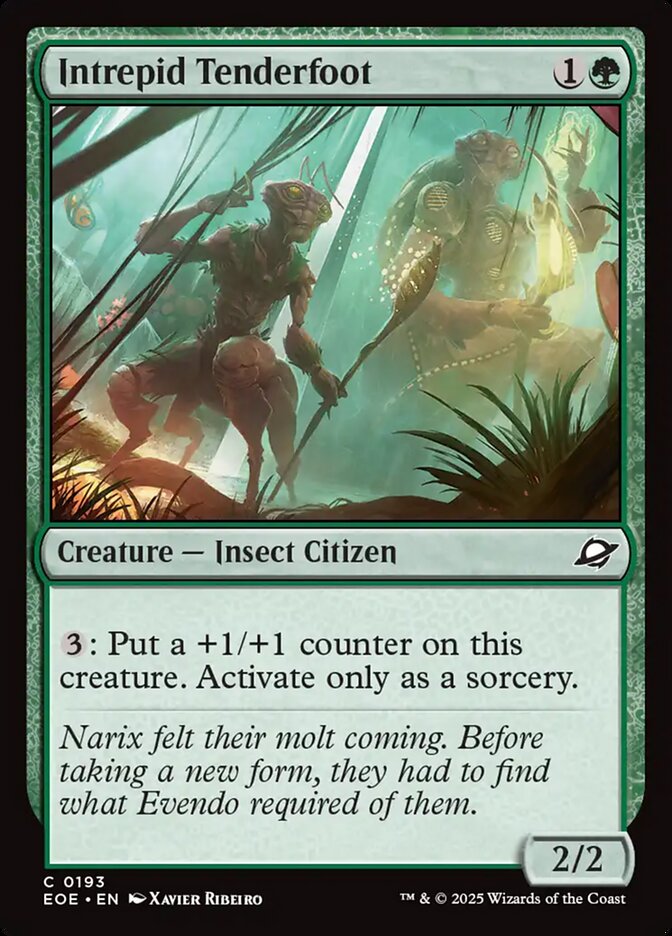 Intrepid Tenderfoot (EOE)