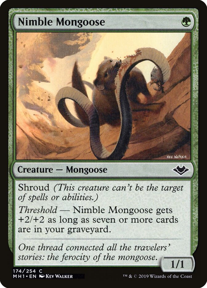 Nimble Mongoose - carta Magic The Gathering