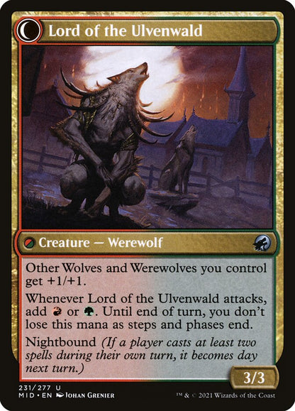 Lord of the Ulvenwald - carta Magic The Gathering