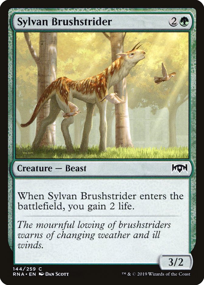 Sylvan Brushstrider - RNA-144-NF-STD