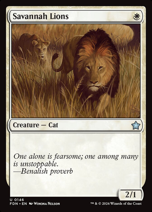 Savannah Lions - FDN-146-NF-BEG-STA