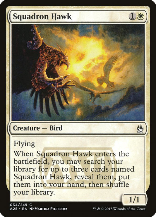Squadron Hawk - A25-034-NF-STD