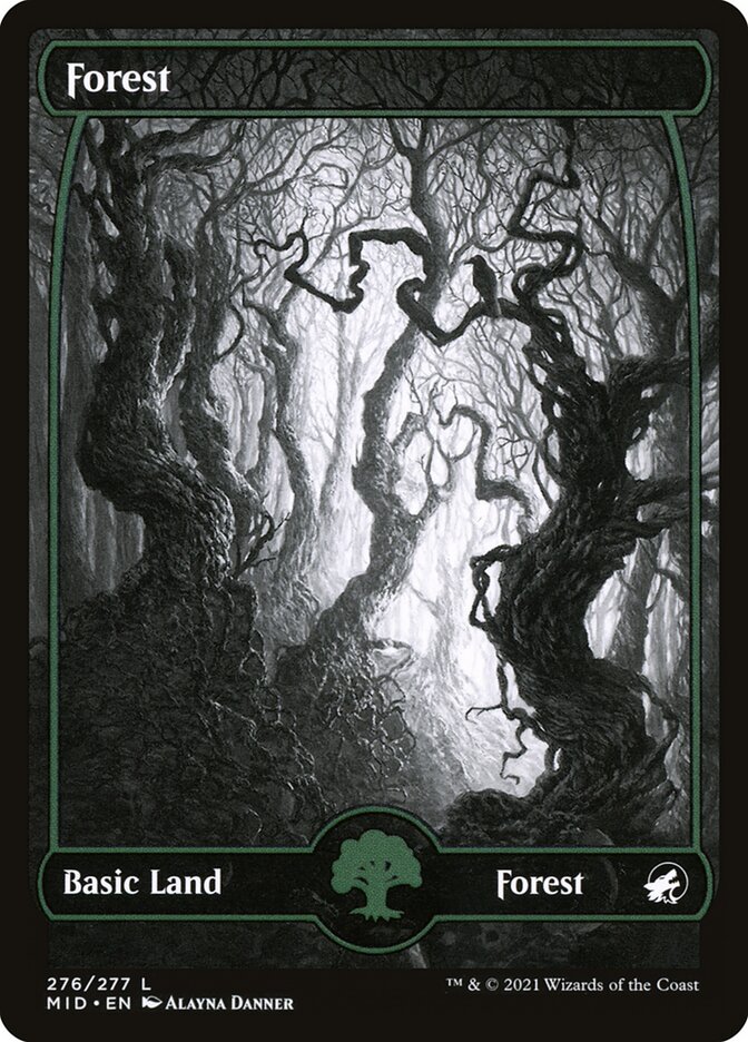 Forest - carta Magic The Gathering