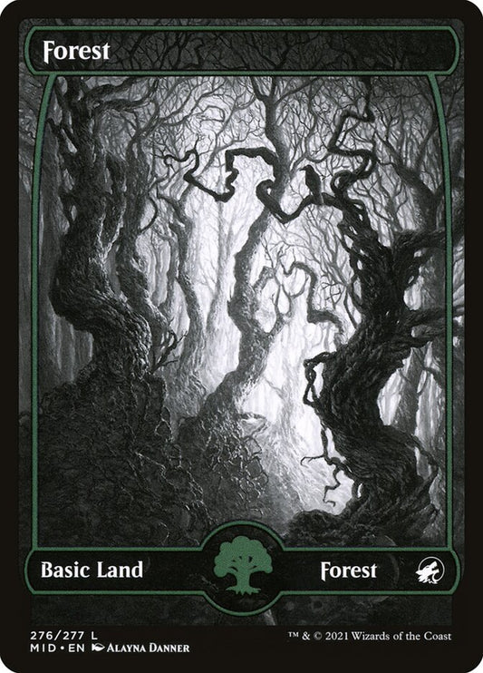 Forest - carta Magic The Gathering