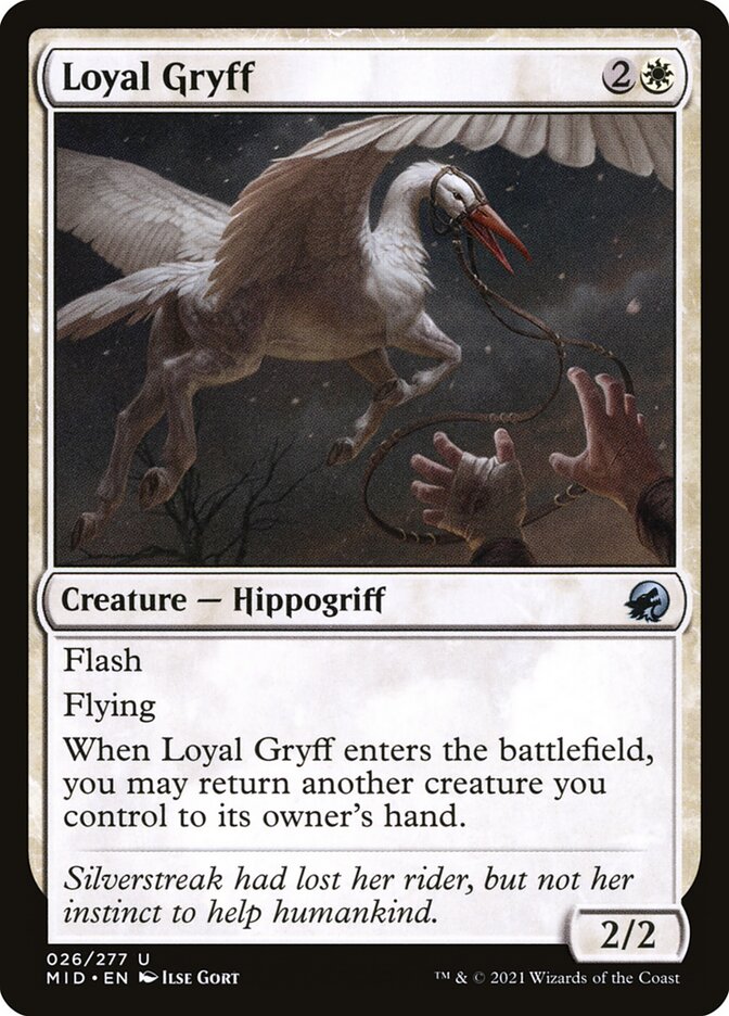 Loyal Gryff - carta Magic The Gathering
