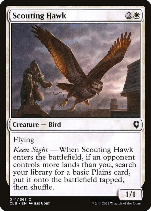 Scouting Hawk - CLB-041-NF-STD