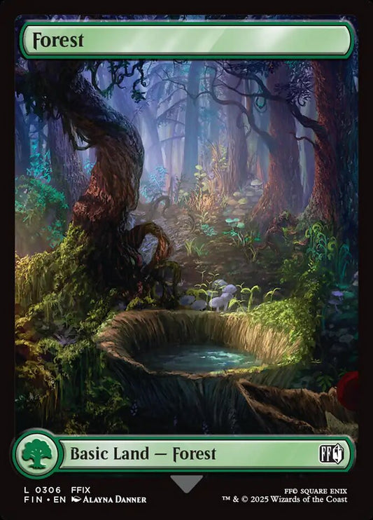 Forest - FIN-306-NF-FA-FFI