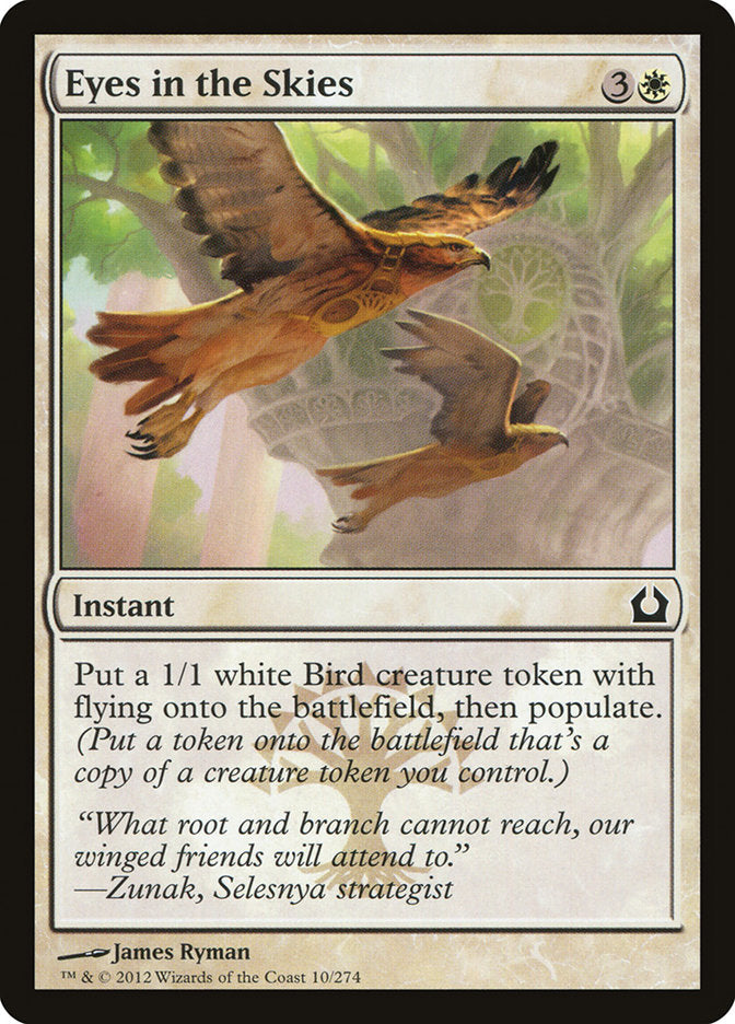 Eyes in the Skies - RTR-010-NF-STD