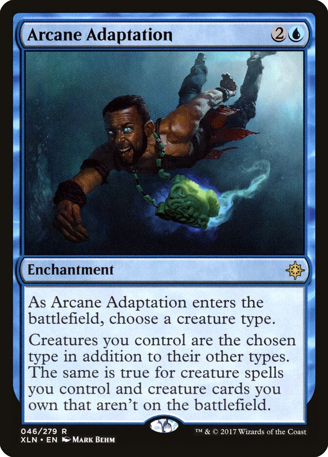 Arcane Adaptation - carta Magic The Gathering