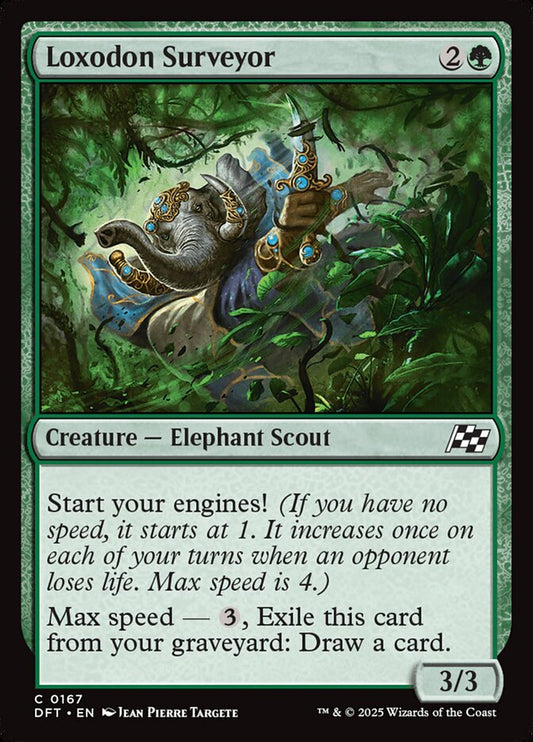 Loxodon Surveyor (DFT)