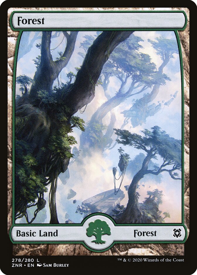 Forest - carta Magic The Gathering