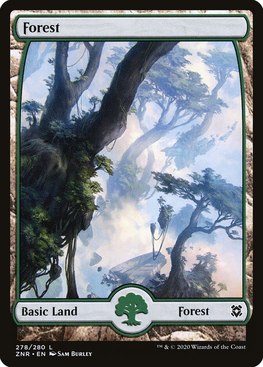 Forest - carta Magic The Gathering