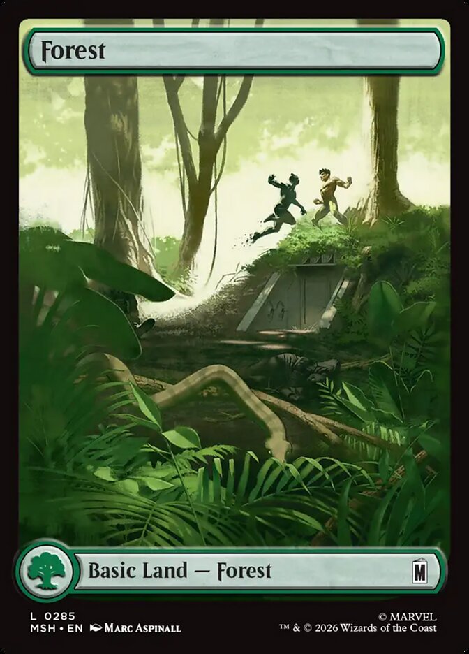 Forest - carta Magic The Gathering
