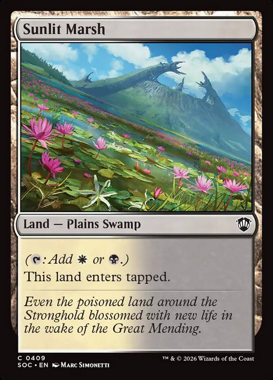 Sunlit Marsh - SOC-409-NF-STD